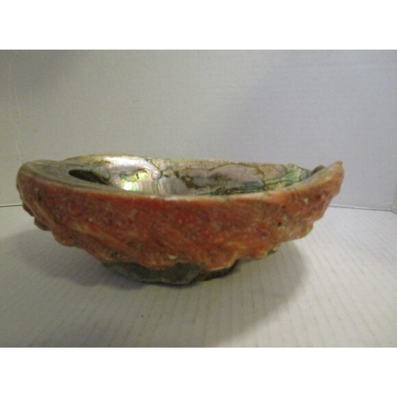 Red Abalone Large 9" Shell Haliotis Rufescens w/ Barnacles & Stone Base Antique - Picture 2 of 7